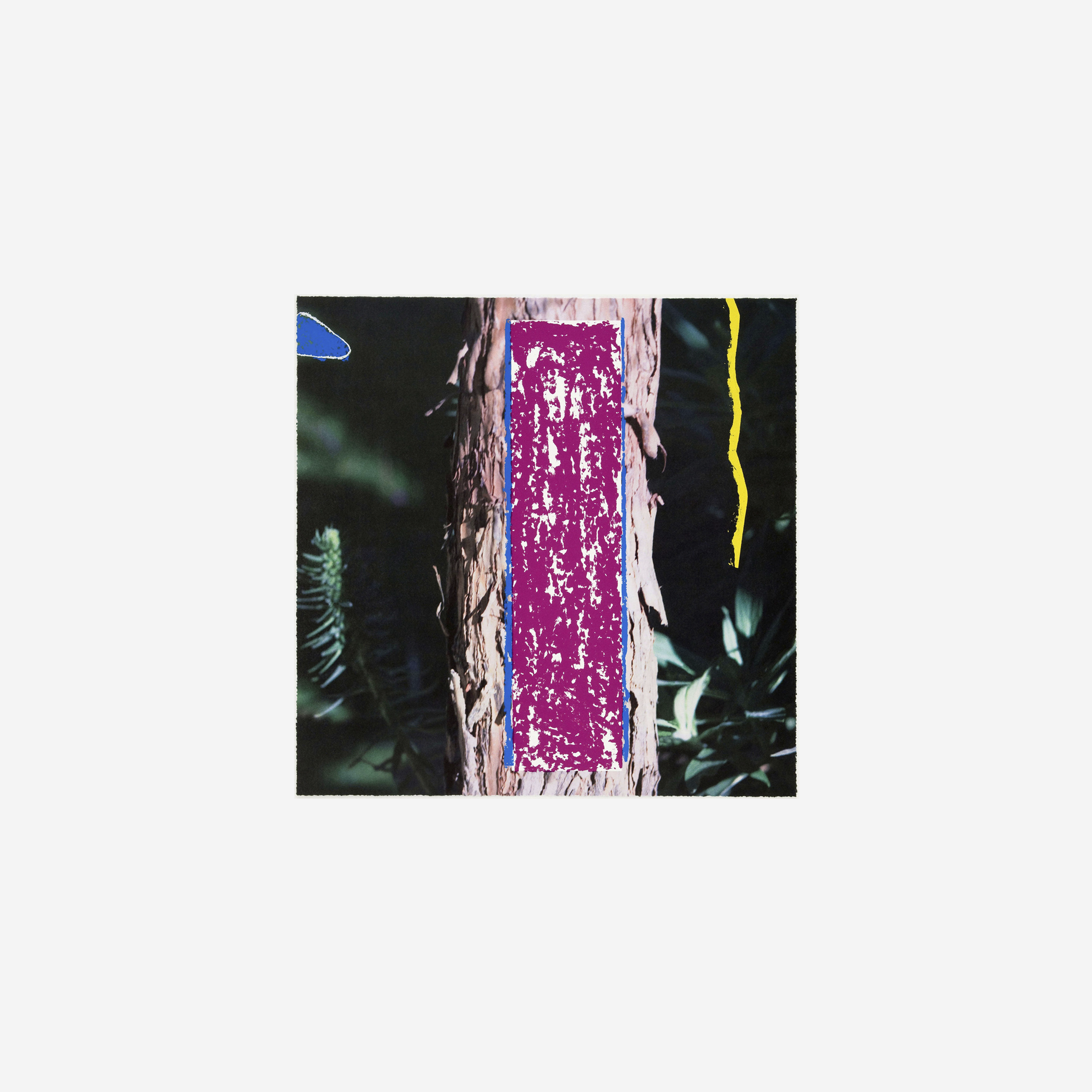 2623 Third Street, Santa Monica