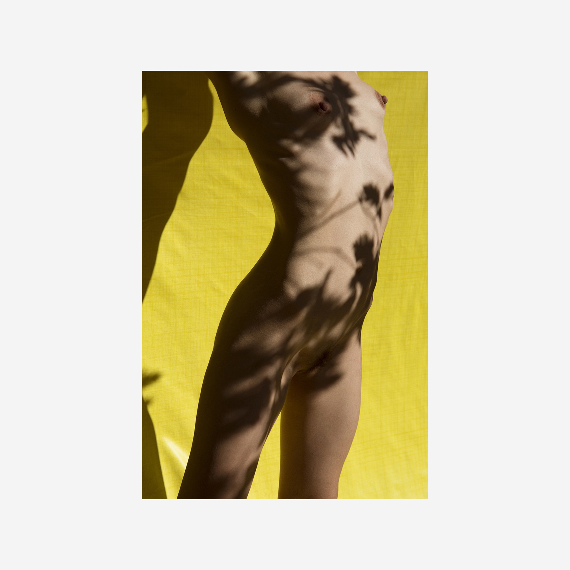 Roxane II, 2017