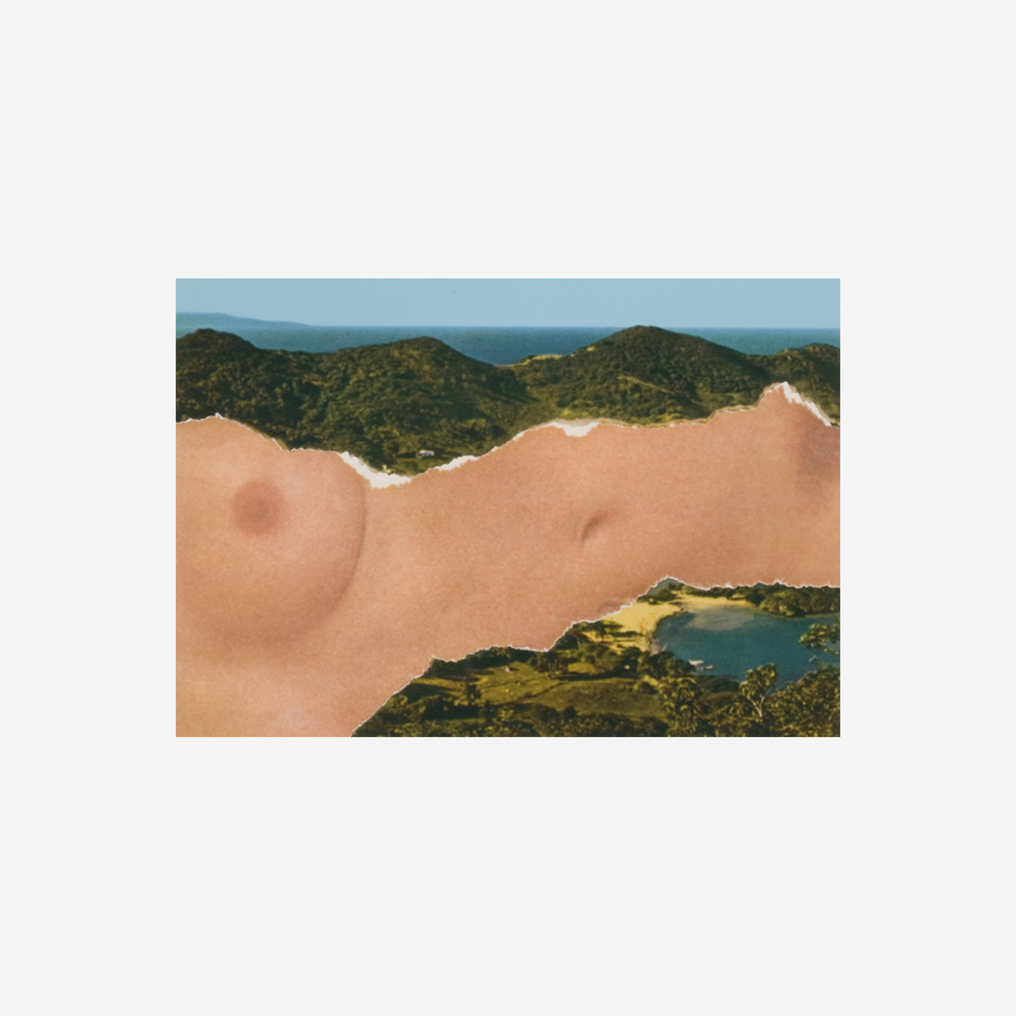 Saint Martin Landscape, 1979