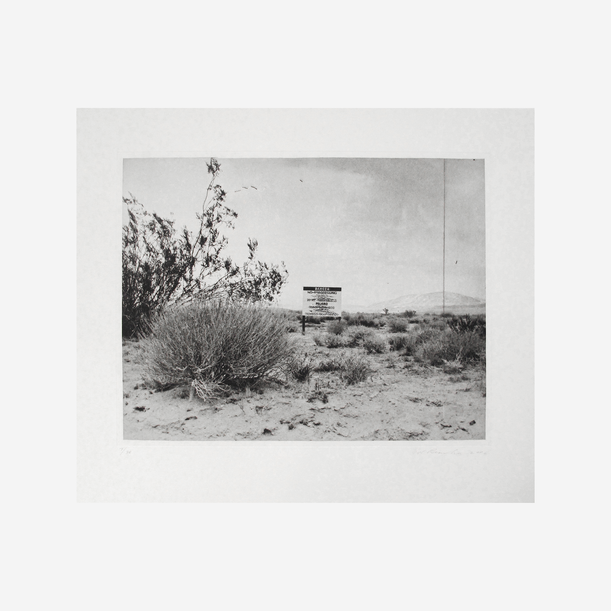 Desert Gravure, 2006